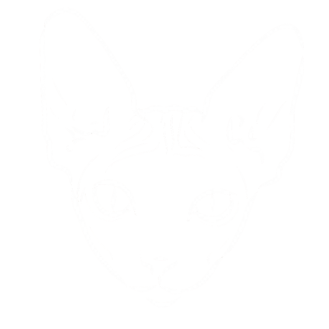 sfenks wear